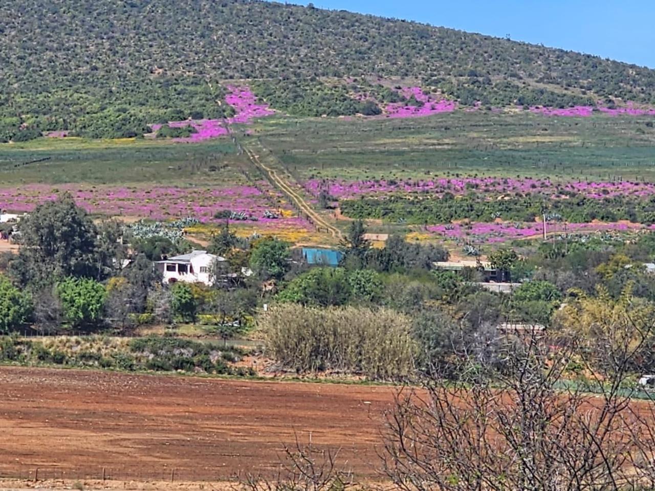 Kranskloof Country Lodge Оудсхорн Экстерьер фото